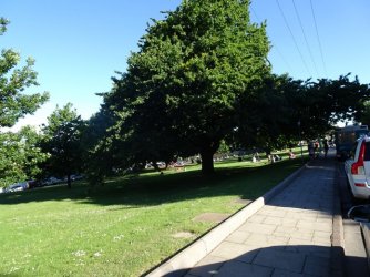 DSC07653.JPG DSC07653.JPG