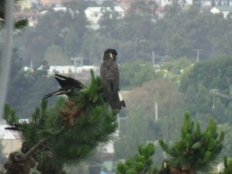 DSC07907.JPG DSC07907.JPG