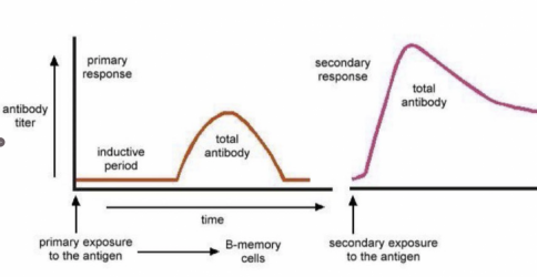 Screen Shot 2021-11-30 at 7.14.13 pm.png Screen Shot 2021-11-30 at 7.14.13 pm.png