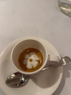 35D9A8F9-D72E-43B2-A024-EACD56909B2E.jpeg 35D9A8F9-D72E-43B2-A024-EACD56909B2E.jpeg