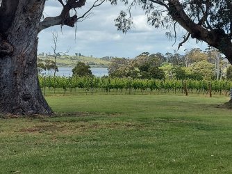 20211205_120044.jpg 20211205_120044.jpg