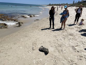 IMG_9479.JPG IMG_9479.JPG