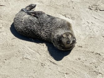 IMG_9480.JPG IMG_9480.JPG