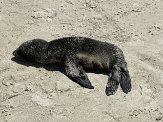 IMG_9492.JPG IMG_9492.JPG