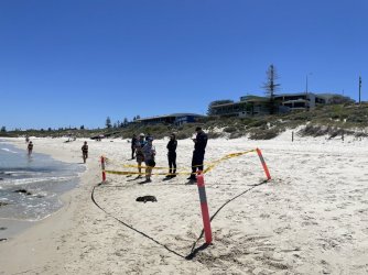 IMG_9491.JPG IMG_9491.JPG