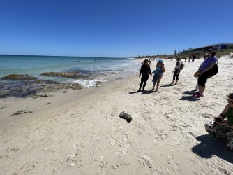 IMG_9481.JPG IMG_9481.JPG