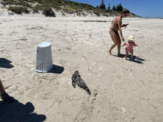 IMG_9474.JPG IMG_9474.JPG