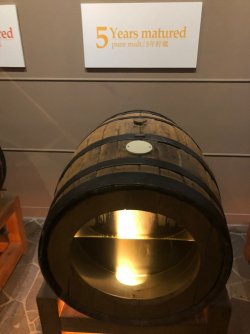 IMG_1159.jpeg IMG_1159.jpeg