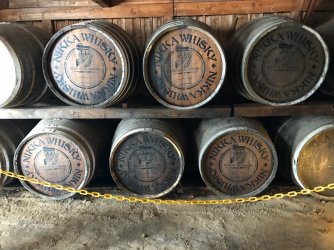 IMG_8784.jpeg IMG_8784.jpeg