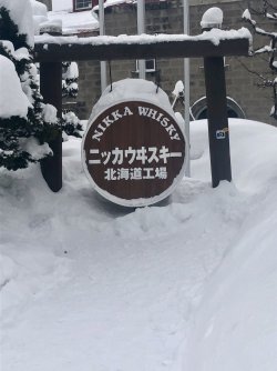 IMG_1120.jpeg IMG_1120.jpeg