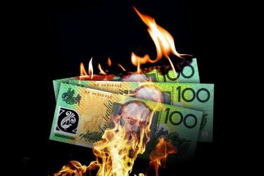 8363DD8F-866B-40FB-A773-B502A706DCF4.jpeg 8363DD8F-866B-40FB-A773-B502A706DCF4.jpeg