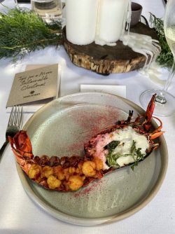 10C5B0EC-A654-4D69-84AB-EC7E9F722F31.jpeg 10C5B0EC-A654-4D69-84AB-EC7E9F722F31.jpeg