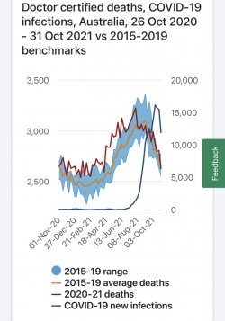 AED38009-C8C9-454C-9EC6-6D92683BBB94.jpeg AED38009-C8C9-454C-9EC6-6D92683BBB94.jpeg