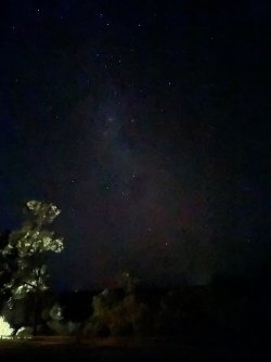 B925E7BB-3EB8-495A-97FD-005198B7C04E.jpeg B925E7BB-3EB8-495A-97FD-005198B7C04E.jpeg