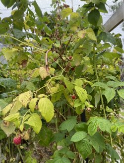 84BAB277-4D3F-400E-81B2-F324C9CAB19E.jpeg 84BAB277-4D3F-400E-81B2-F324C9CAB19E.jpeg