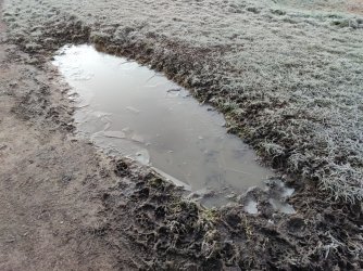 2022-01-14 07.52.00.jpg 2022-01-14 07.52.00.jpg