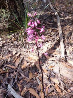 20220115_155725.jpg 20220115_155725.jpg