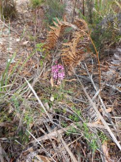 20220115_160746.jpg 20220115_160746.jpg