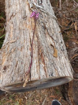 20220115_161018.jpg 20220115_161018.jpg