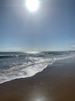 Picture1.jpg Picture1.jpg