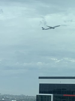 458800E5-8E5D-413D-BDFF-329BDB3EDB48.jpeg 458800E5-8E5D-413D-BDFF-329BDB3EDB48.jpeg