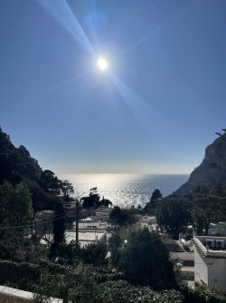 2DB7A38B-2038-49A0-889B-85033BC25A8B.jpeg 2DB7A38B-2038-49A0-889B-85033BC25A8B.jpeg