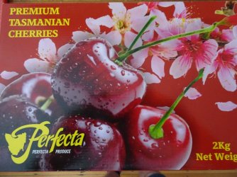 DSC08572.JPG DSC08572.JPG