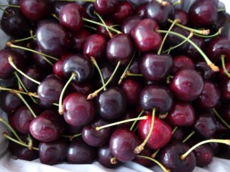 DSC08573.JPG DSC08573.JPG