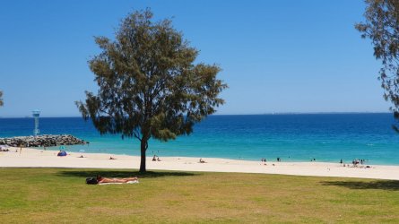 20220120_132827.jpg 20220120_132827.jpg