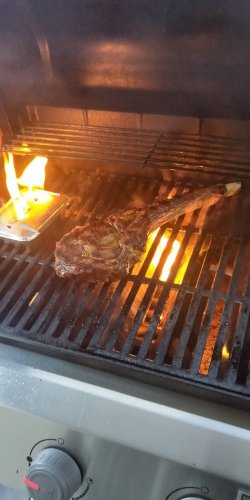 IMG20211211185837.jpg IMG20211211185837.jpg