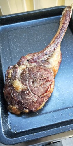 IMG20211211184631.jpg IMG20211211184631.jpg