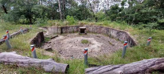 1643021135694.png 1643021135694.png