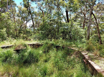 1643021173450.png 1643021173450.png