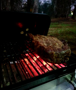 1643062695333.png 1643062695333.png