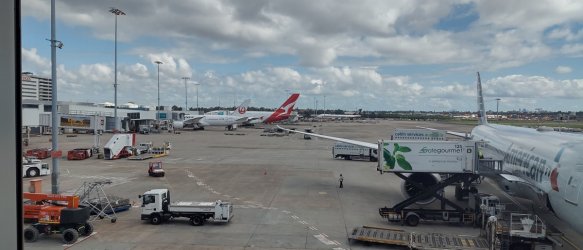 IMG_20220127_094136106_HDR.jpg IMG_20220127_094136106_HDR.jpg