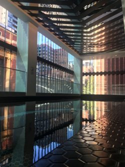 IMG_1081.JPG IMG_1081.JPG