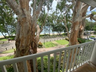 D508F399-03DD-47B7-B5EC-6D6AC2167EE9.jpeg D508F399-03DD-47B7-B5EC-6D6AC2167EE9.jpeg