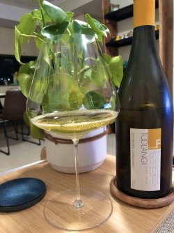 1F8011FC-34DB-464B-8C47-6BC767585E9E.jpeg 1F8011FC-34DB-464B-8C47-6BC767585E9E.jpeg