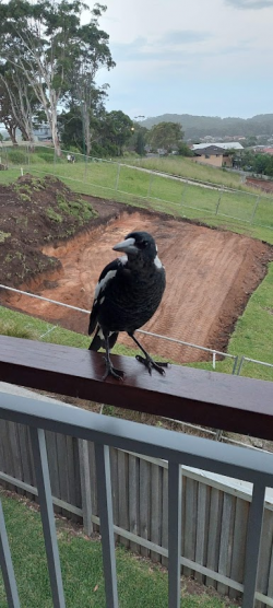 1643932472844.png 1643932472844.png