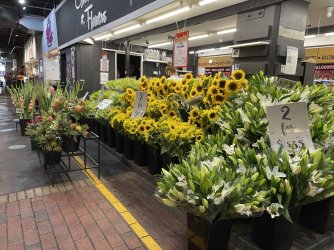 234A06A8-5BAB-457A-967E-C40BF8D617F9.jpeg 234A06A8-5BAB-457A-967E-C40BF8D617F9.jpeg