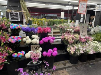 5CC5319D-09B4-496A-9702-4134BF7AB78E.jpeg 5CC5319D-09B4-496A-9702-4134BF7AB78E.jpeg