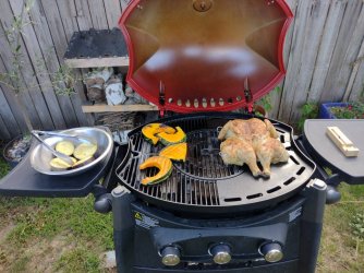 IMG_20220212_181249582.jpg IMG_20220212_181249582.jpg