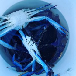 B9CABB46-2F4C-4F02-A2B7-28D64612922F.jpeg B9CABB46-2F4C-4F02-A2B7-28D64612922F.jpeg