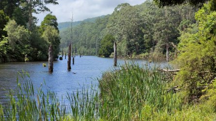 IMG20220212131624.jpg IMG20220212131624.jpg