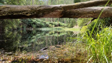 IMG20220212125730.jpg IMG20220212125730.jpg