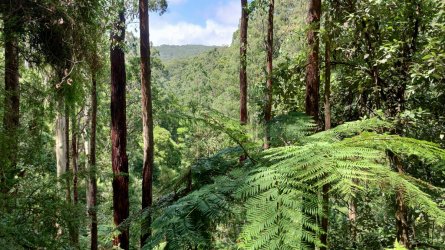 IMG20220212130915.jpg IMG20220212130915.jpg