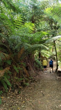 IMG20220212130506.jpg IMG20220212130506.jpg