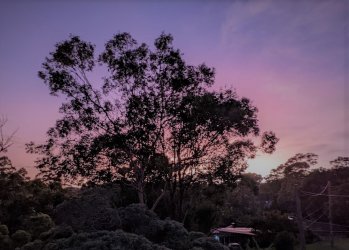 PXL_20220213_190640643-2.jpg PXL_20220213_190640643-2.jpg