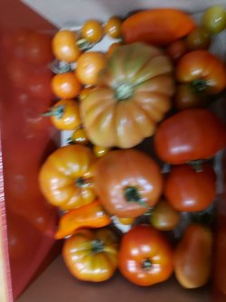 20220214_223008.jpg 20220214_223008.jpg