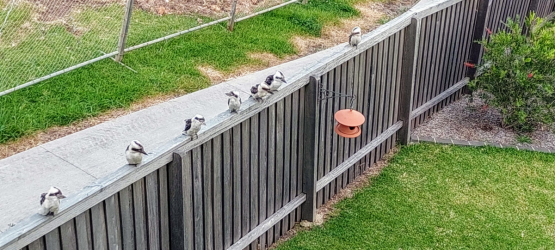 1644881493131.png 1644881493131.png